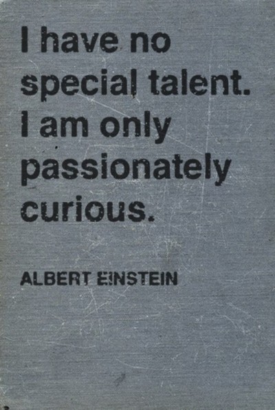 I have no special talent Albert Einstein