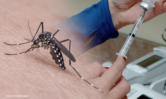 vaccin anti dengue, tantar transmite febra dengue: vaccin pentru calatorie: Boli tropicale, factori de risc și vaccinuri, înainte de a călători în Indonezia